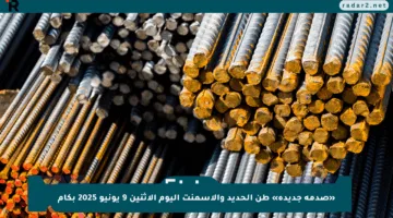 «صدمة جديدة» طن الحديد والأسمنت اليوم الإثنين 9 يونيو 2025 بكام